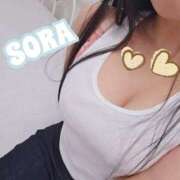 ヒメ日記 2025/03/15 18:10 投稿 そら チューリップ姫路店