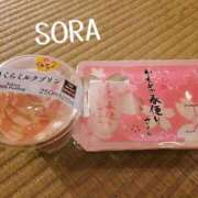 ヒメ日記 2025/03/17 16:17 投稿 そら チューリップ姫路店