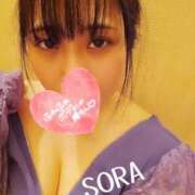 ヒメ日記 2025/03/29 16:50 投稿 そら チューリップ姫路店