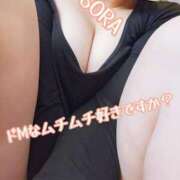 ヒメ日記 2025/03/30 14:50 投稿 そら チューリップ姫路店