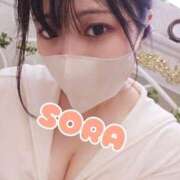 ヒメ日記 2025/04/19 17:23 投稿 そら チューリップ姫路店