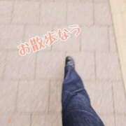 ヒメ日記 2025/04/22 18:30 投稿 そら チューリップ姫路店