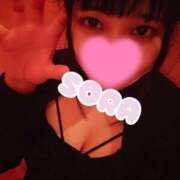 ヒメ日記 2025/04/24 21:50 投稿 そら チューリップ姫路店