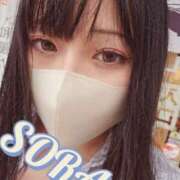 ヒメ日記 2025/05/06 09:20 投稿 そら チューリップ姫路店