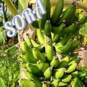 ヒメ日記 2025/05/15 15:11 投稿 そら チューリップ姫路店