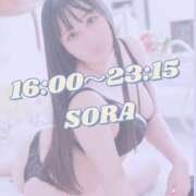 ヒメ日記 2025/06/16 14:20 投稿 そら チューリップ姫路店