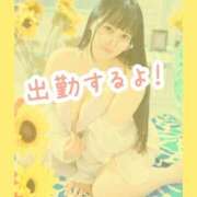 ヒメ日記 2025/07/03 14:10 投稿 そら チューリップ姫路店