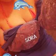 ヒメ日記 2025/08/04 20:55 投稿 そら チューリップ姫路店