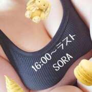 ヒメ日記 2025/08/29 14:20 投稿 そら チューリップ姫路店