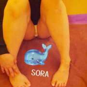 ヒメ日記 2025/09/25 19:20 投稿 そら チューリップ姫路店