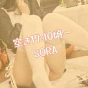 ヒメ日記 2025/10/13 16:02 投稿 そら チューリップ姫路店