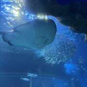 ヒメ日記 2025/09/23 11:54 投稿 あやか 川崎三浦屋