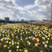 ヒメ日記 2025/10/02 17:37 投稿 あやか 川崎三浦屋