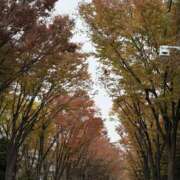 ヒメ日記 2025/11/14 08:39 投稿 あやか 川崎三浦屋