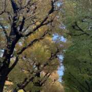 ヒメ日記 2025/11/18 09:59 投稿 あやか 川崎三浦屋