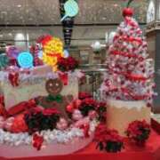 ヒメ日記 2025/12/23 01:13 投稿 あん 熟女の風俗最終章 新潟店