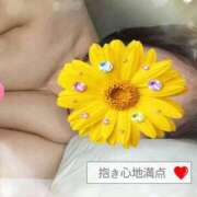 ヒメ日記 2026/07/16 20:23 投稿 あん 熟女の風俗最終章 新潟店