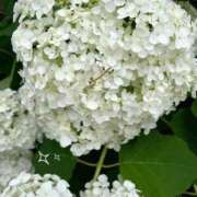 ヒメ日記 2025/06/10 15:37 投稿 ゆう 池袋千姫