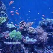 ヒメ日記 2025/06/23 23:17 投稿 ゆう 池袋千姫