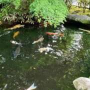 ヒメ日記 2025/06/27 00:37 投稿 ゆう 池袋千姫