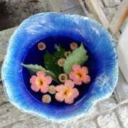 ヒメ日記 2025/09/25 21:47 投稿 ゆう 池袋千姫