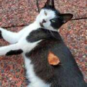 ヒメ日記 2025/09/29 15:27 投稿 ゆう 池袋千姫