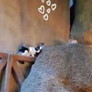 ヒメ日記 2025/11/04 22:17 投稿 ゆう 池袋千姫