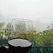 ヒメ日記 2025/11/19 10:57 投稿 ゆう 池袋千姫