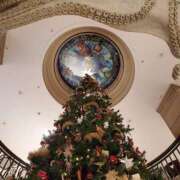 ヒメ日記 2025/12/22 23:47 投稿 ゆう 池袋千姫