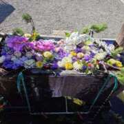 ヒメ日記 2026/01/14 14:47 投稿 ゆう 池袋千姫