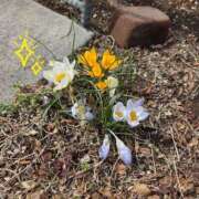 ゆう ありがとうございました 池袋千姫