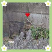 ヒメ日記 2026/03/25 22:00 投稿 ゆう 池袋千姫