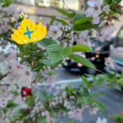 ゆう ありがとうございました 池袋千姫