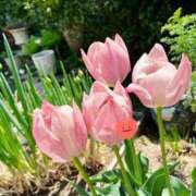 ヒメ日記 2026/04/21 12:47 投稿 ゆう 池袋千姫