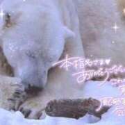 ヒメ日記 2025/01/21 23:50 投稿 あや ぽちゃカワイイ！