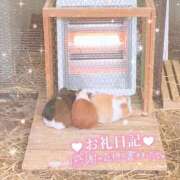 ヒメ日記 2025/01/28 22:39 投稿 あや ぽちゃカワイイ！