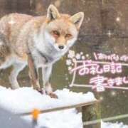 ヒメ日記 2025/02/06 23:35 投稿 あや ぽちゃカワイイ！