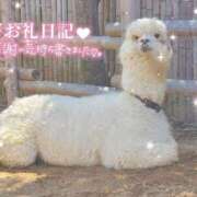 ヒメ日記 2025/02/10 00:00 投稿 あや ぽちゃカワイイ！