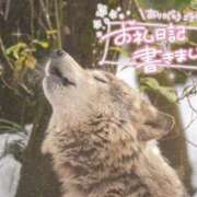 ヒメ日記 2025/03/10 23:44 投稿 あや ぽちゃカワイイ！