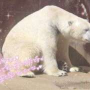 ヒメ日記 2025/03/12 07:34 投稿 あや ぽちゃカワイイ！