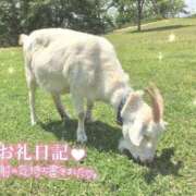 ヒメ日記 2025/04/12 23:36 投稿 あや ぽちゃカワイイ！