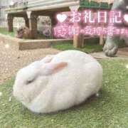 ヒメ日記 2025/04/13 00:03 投稿 あや ぽちゃカワイイ！