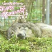 ヒメ日記 2025/04/19 23:55 投稿 あや ぽちゃカワイイ！