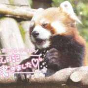 ヒメ日記 2025/05/02 22:17 投稿 あや ぽちゃカワイイ！