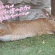 ヒメ日記 2025/05/09 08:55 投稿 あや ぽちゃカワイイ！