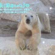 ヒメ日記 2025/05/25 08:54 投稿 あや ぽちゃカワイイ！