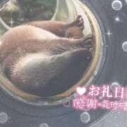 ヒメ日記 2025/06/14 23:28 投稿 あや ぽちゃカワイイ！