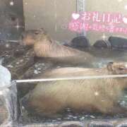 ヒメ日記 2025/06/24 08:45 投稿 あや ぽちゃカワイイ！