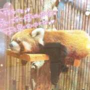 ヒメ日記 2025/06/29 08:30 投稿 あや ぽちゃカワイイ！