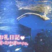 ヒメ日記 2025/07/23 08:15 投稿 あや ぽちゃカワイイ！